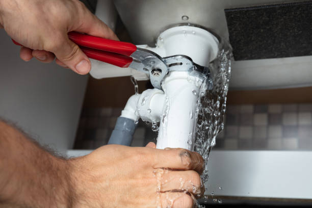 Best Professional water damage repair  in Hudson, MI