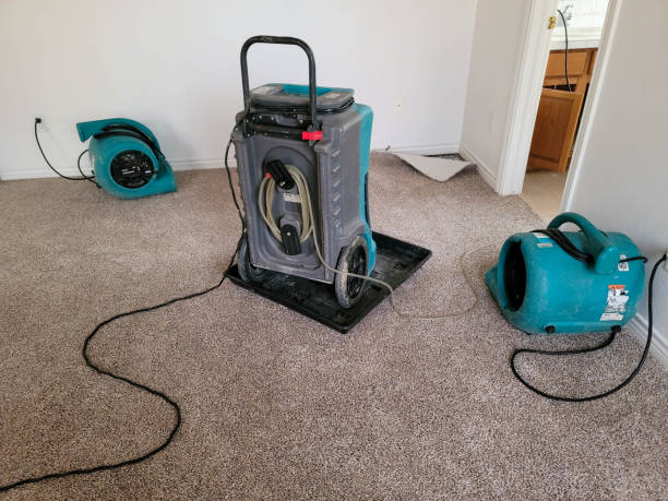 24/7 water damage repair in Hudson, MI
