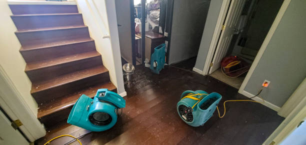 Best Sewage cleanup and water damage restoration  in Hudson, MI