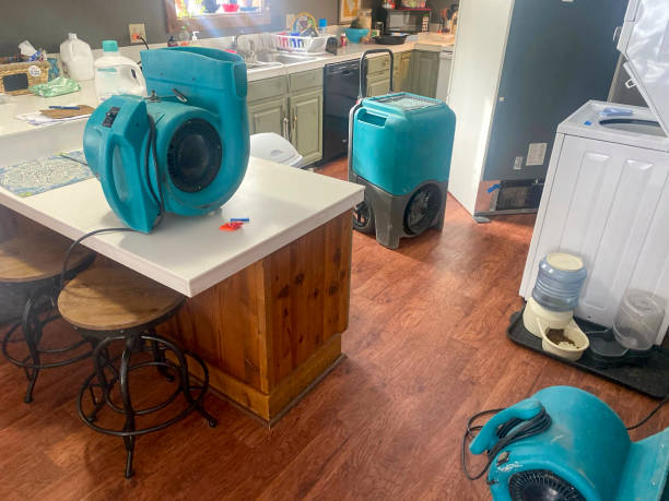 Best Mold removal after water damage  in Hudson, MI
