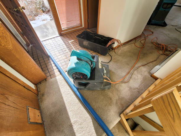 Best Sewage cleanup and water damage restoration  in Hudson, MI