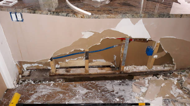 Best Flood restoration services  in Hudson, MI