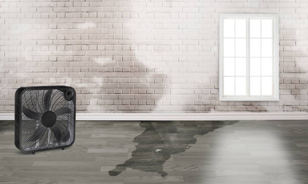 Trusted Hudson, MI Water damage restoration Experts