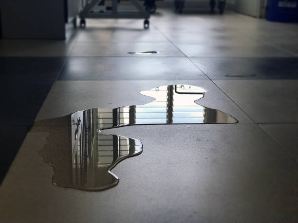 Best 24/7 water damage repair  in Hudson, MI