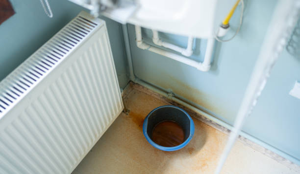 Best Mold removal after water damage  in Hudson, MI