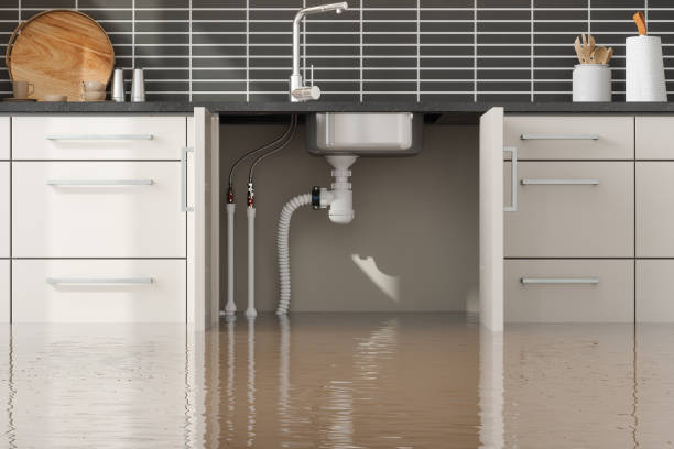 Best Fire Damage Restoration  in Hudson, MI