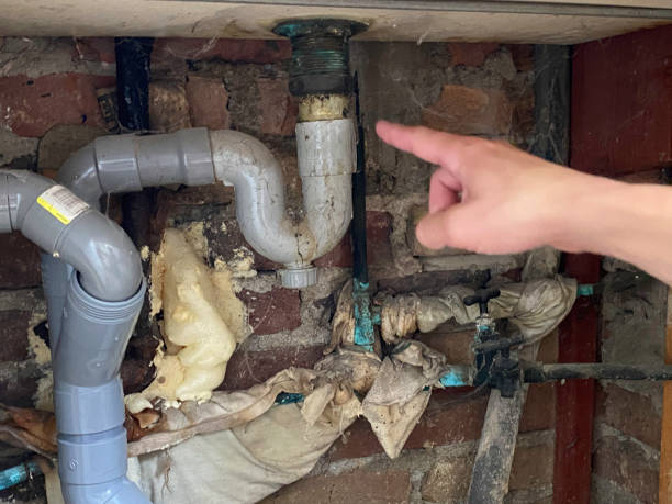 Best Flood damage cleanup  in Hudson, MI