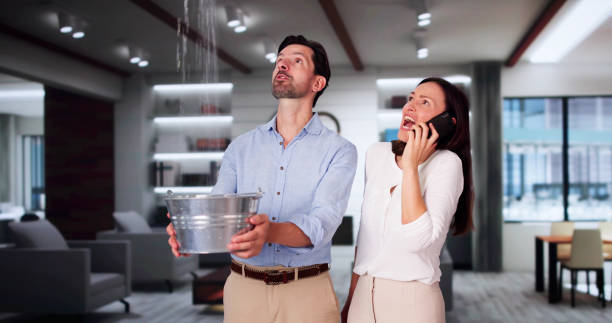 Best Water damage restoration near me  in Hudson, MI