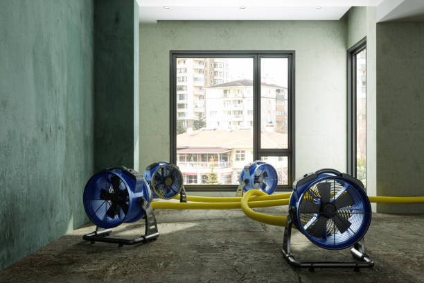 Best Local water damage restoration  in Hudson, MI