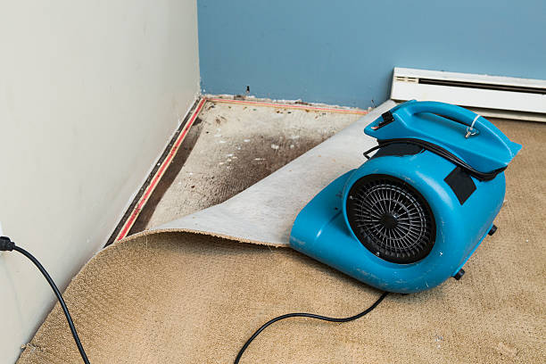 Best Basement water damage restoration  in Hudson, MI